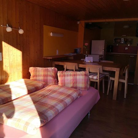 Chez Martial Daire Hasliberg Dış mekan fotoğraf