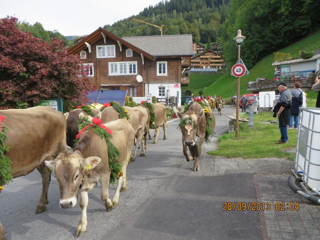 Chez Martial Daire Hasliberg Dış mekan fotoğraf